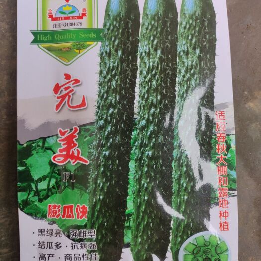 广州 好F1，优质黄瓜种子