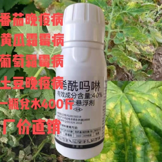 绥中县40%烯酰吗啉-悬浮烯吗药效高，霜霉疫病全去除