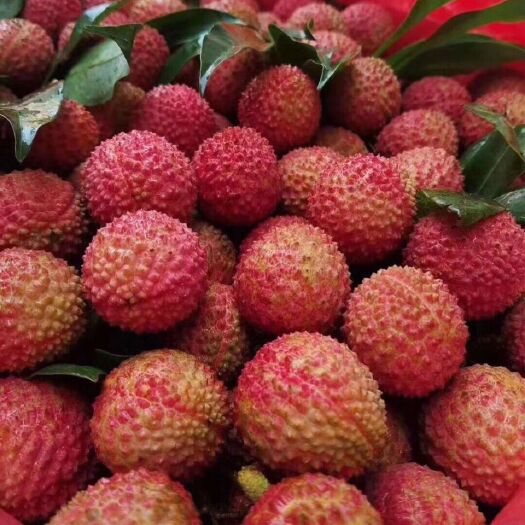 广州桂味荔枝  增城荔枝，桂味