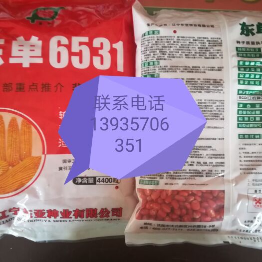 东单6531 双交种 ≥90%