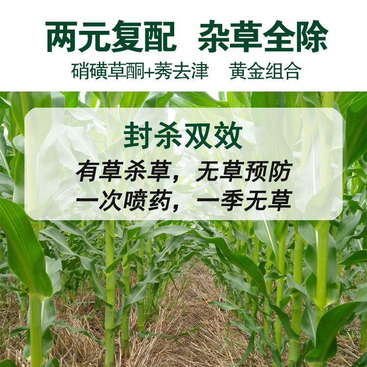 酮喜 硝磺莠去津玉米除草剂专用玉米田苞谷专用除草剂不伤玉米