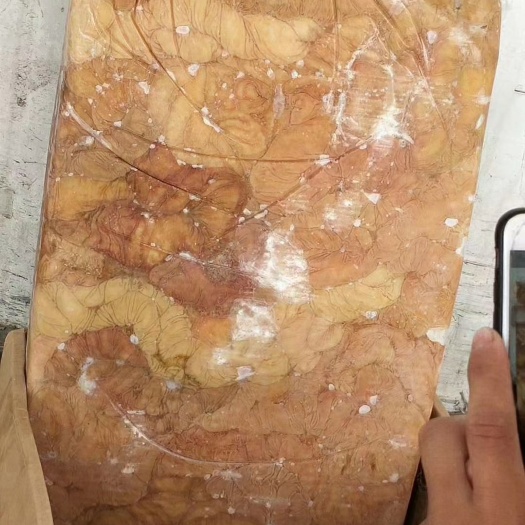 郑州驴板肠