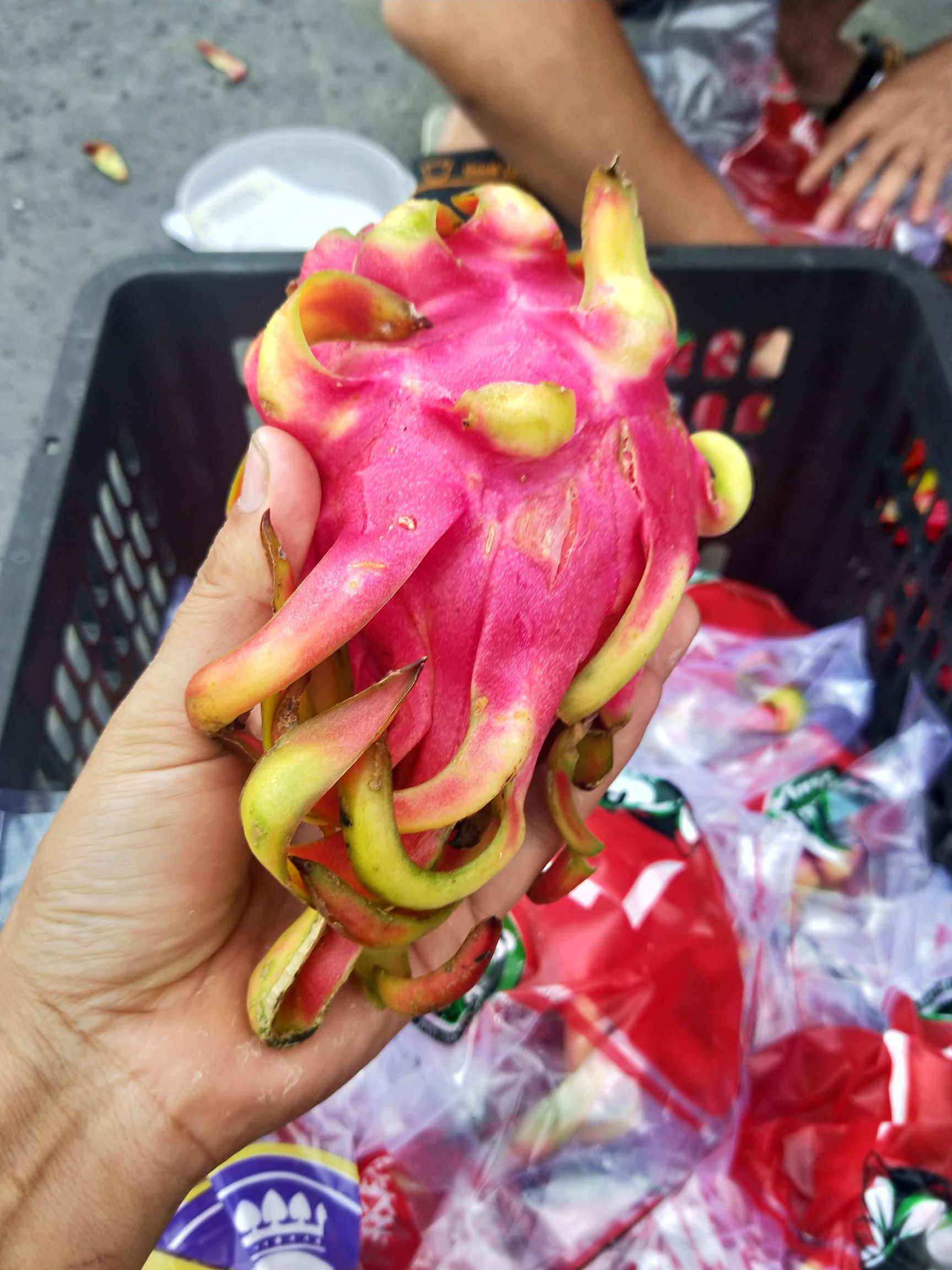  火龙果