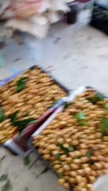 广西平南贵妃，鸡心，牛心黄皮果