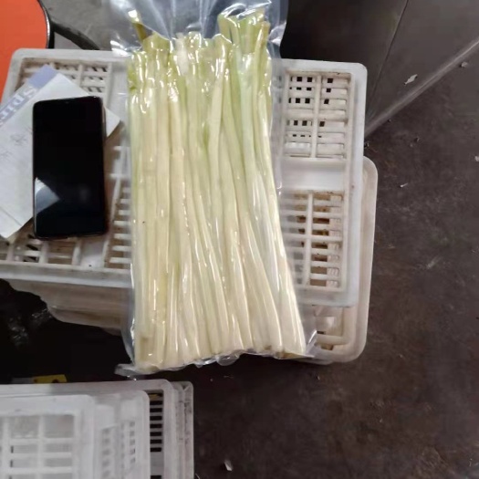 微山县微山湖野生蒲菜，无污染！