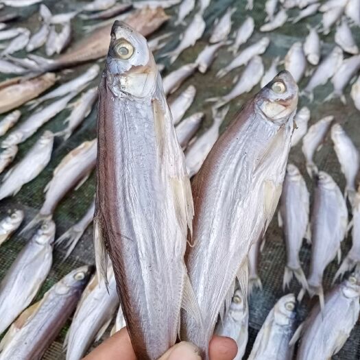 天峨县鱼干 盐干鱼