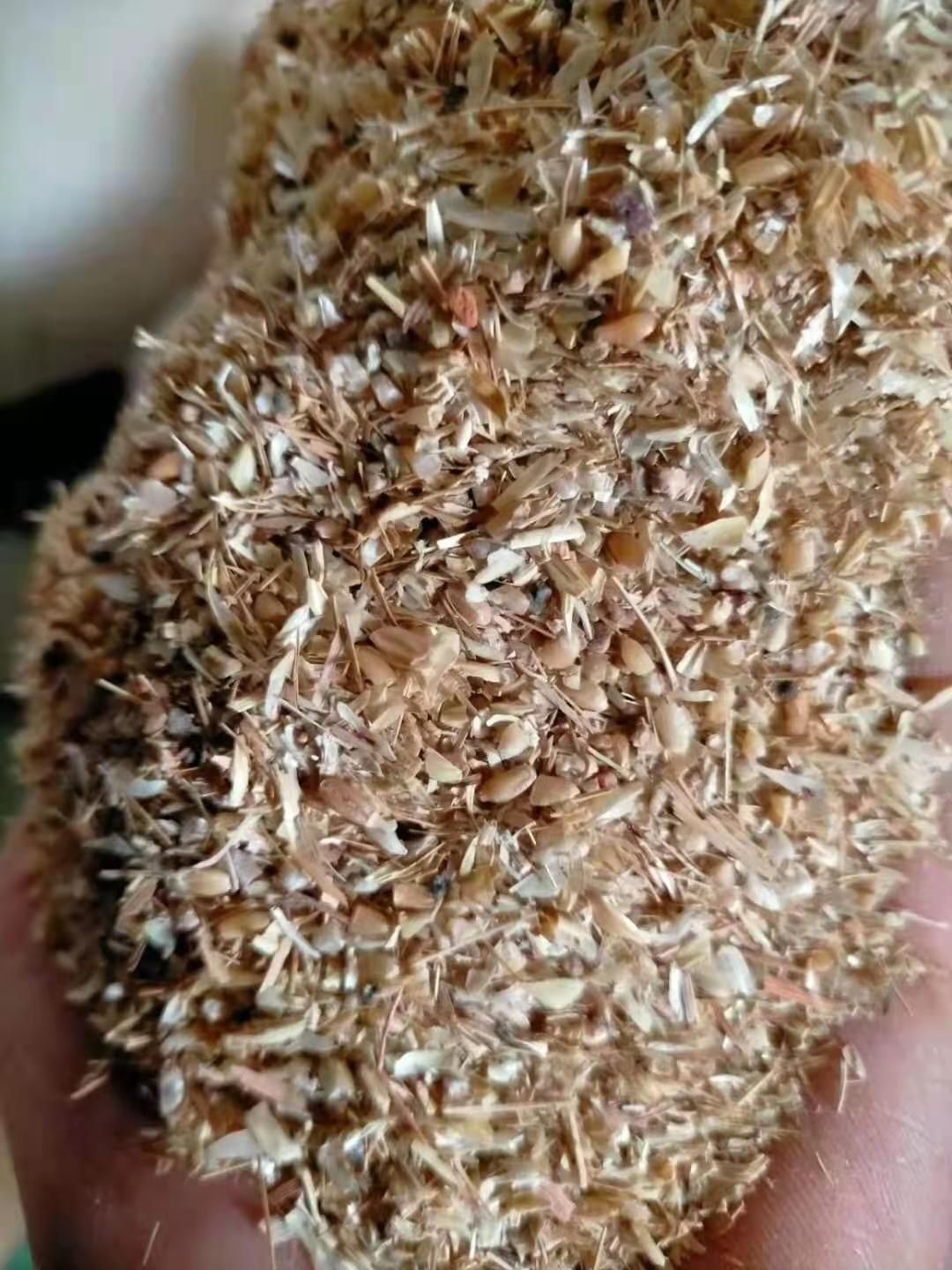 碎麦  常年供应碎小麦，碎玉米，价格便宜，养殖业