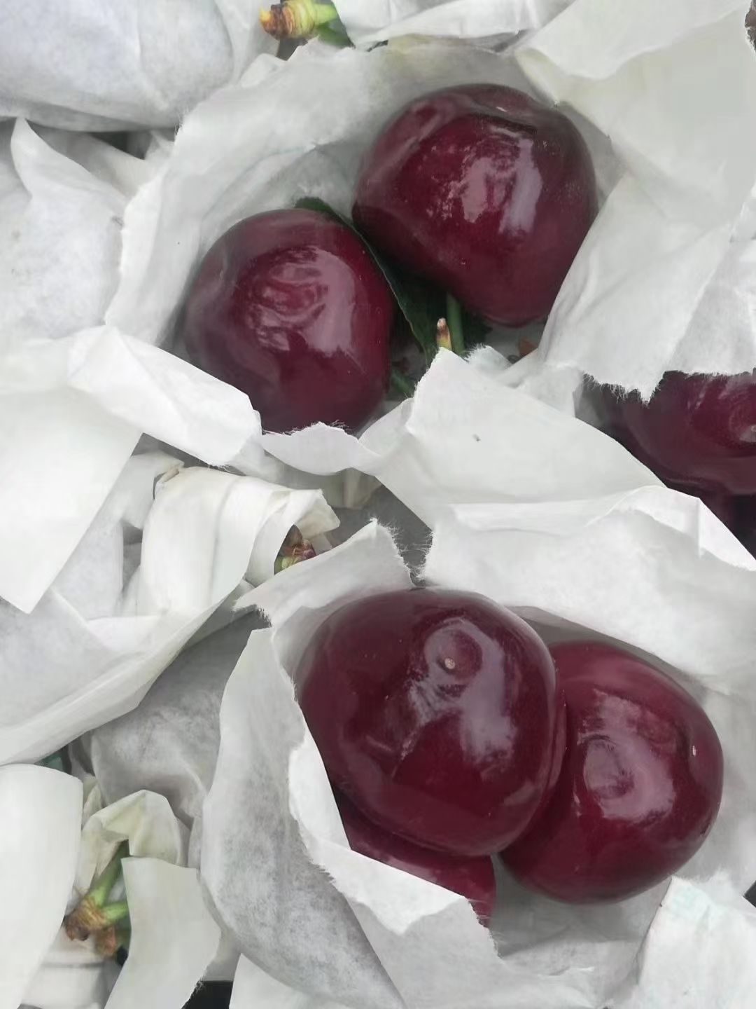 黑珍珠樱桃  汉源黑珍珠，四川省雅安市汉源县，每天现摘现发