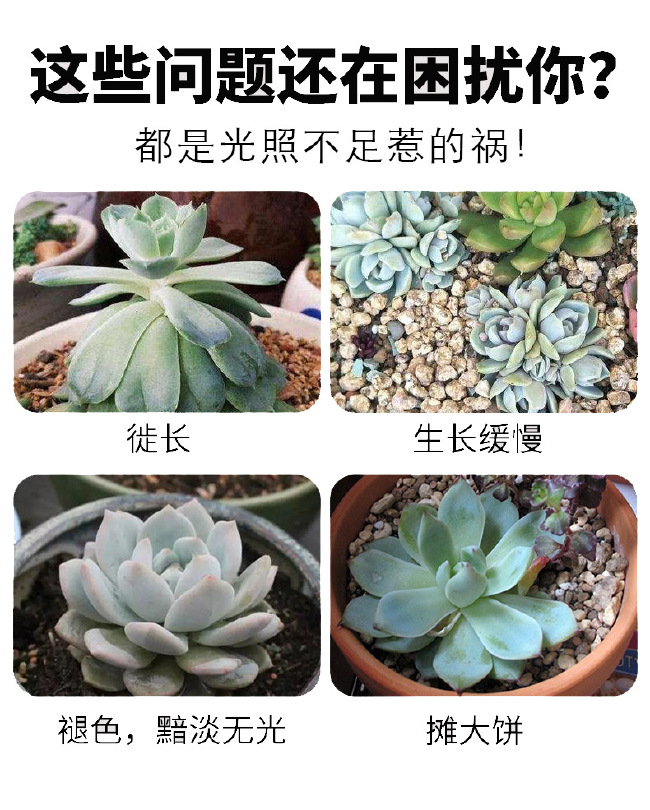 植物补光灯  50W/100W全光谱植物生长灯全光谱育苗补光灯植物灯