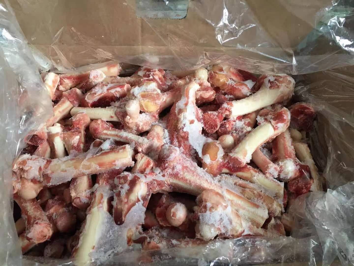羊骨  羔羊前干棒骨