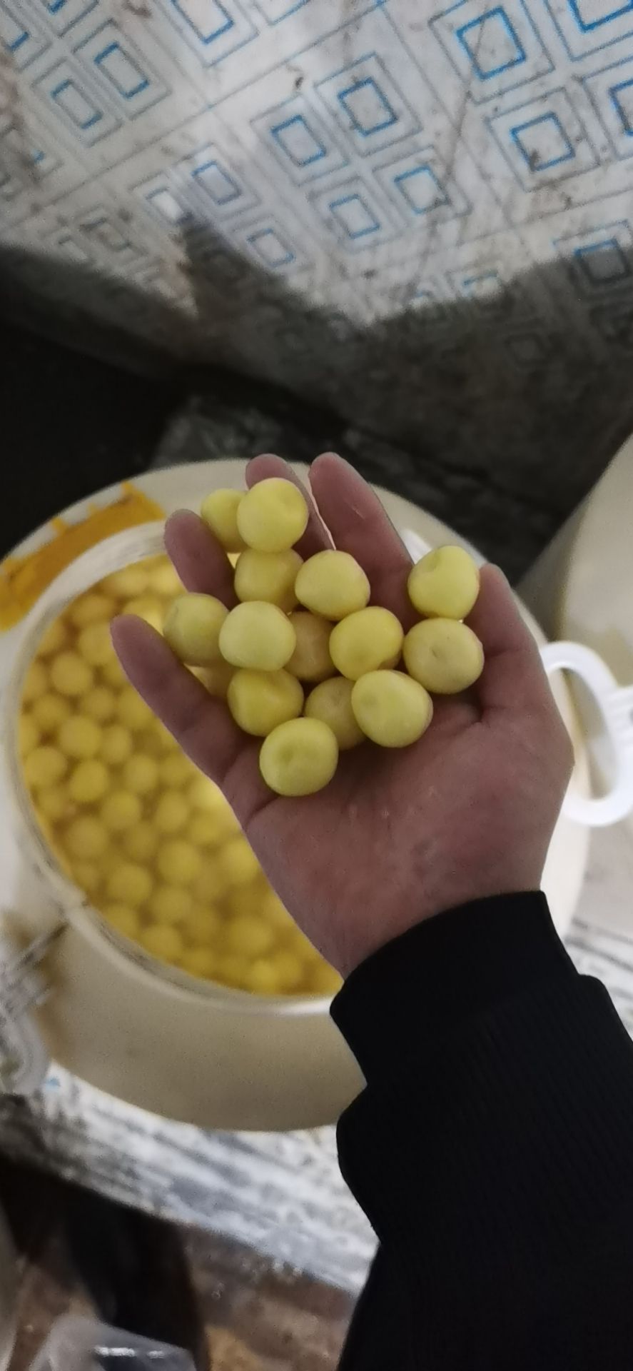 迷你土豆  珍珠土豆，新鲜软糯老品种迷你小土豆，当天挖，当天