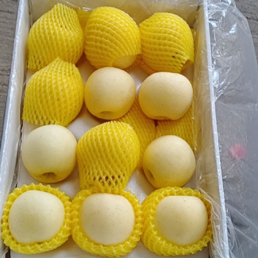 莱西市奶油富士大量有货产地莱阳，莱西