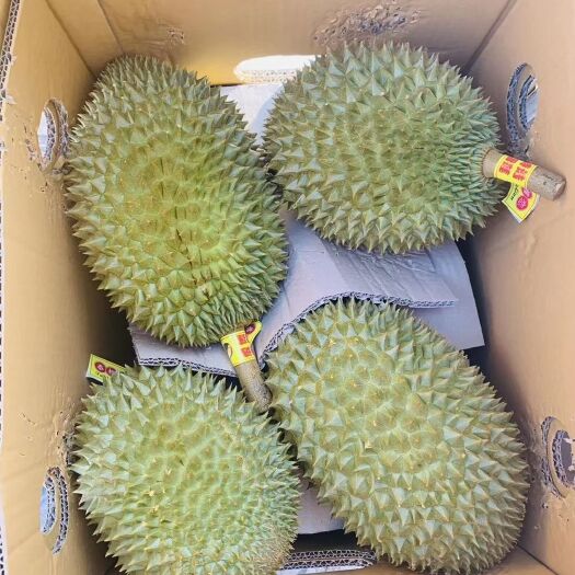 凭祥市托曼尼榴莲A货，产地直供