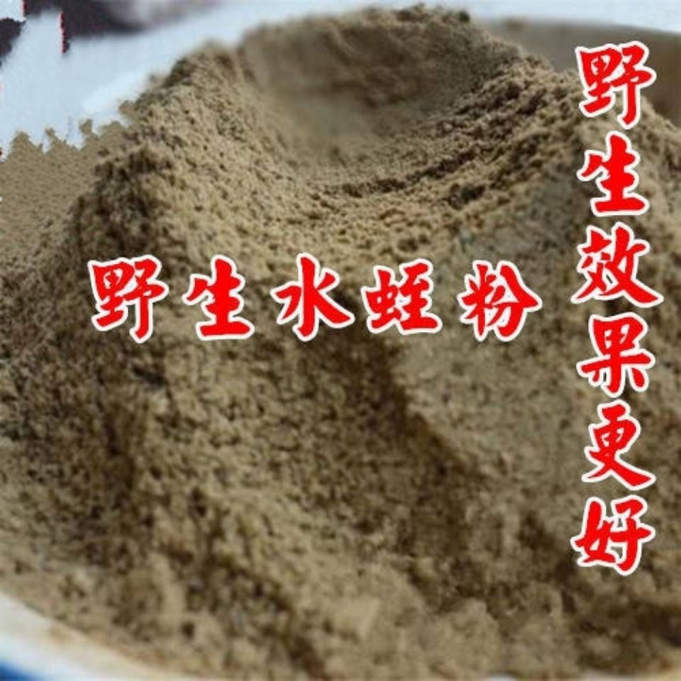 中药材水蛭蚂蟥小水蛭干吊干东北金边医蛭正品干货清水无硫