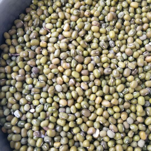 瑞丽市毛绿豆 缅甸绿豆通货