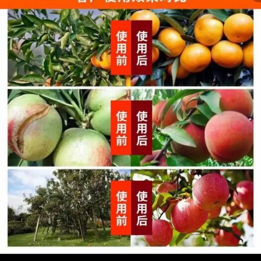 邯郸聚谷氨酸微生物菌剂