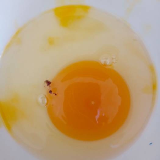 通榆县土鸡蛋  纯粮食鸡鸡蛋