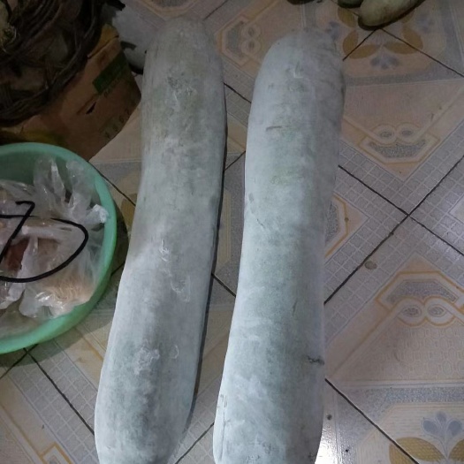 白皮冬瓜