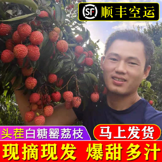 钦州广西灵山桂味荔枝，一件代发。空运包邮。回头客非常多的荔枝