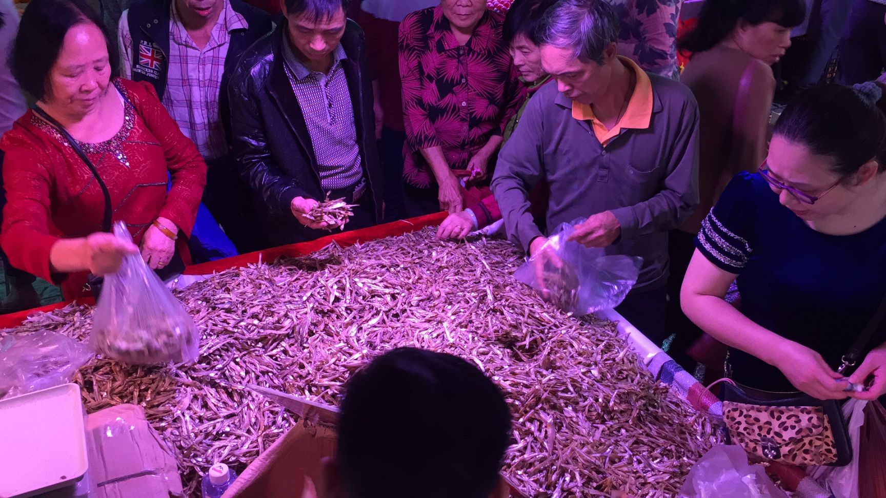 公鱼干  鱼干 深海天然淡干小鱼干 公干鱼
日晒鱼干 餐条鱼