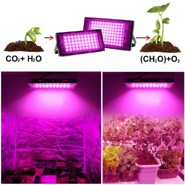 植物补光灯  50W/100W全光谱植物生长灯全光谱育苗补光灯植物灯