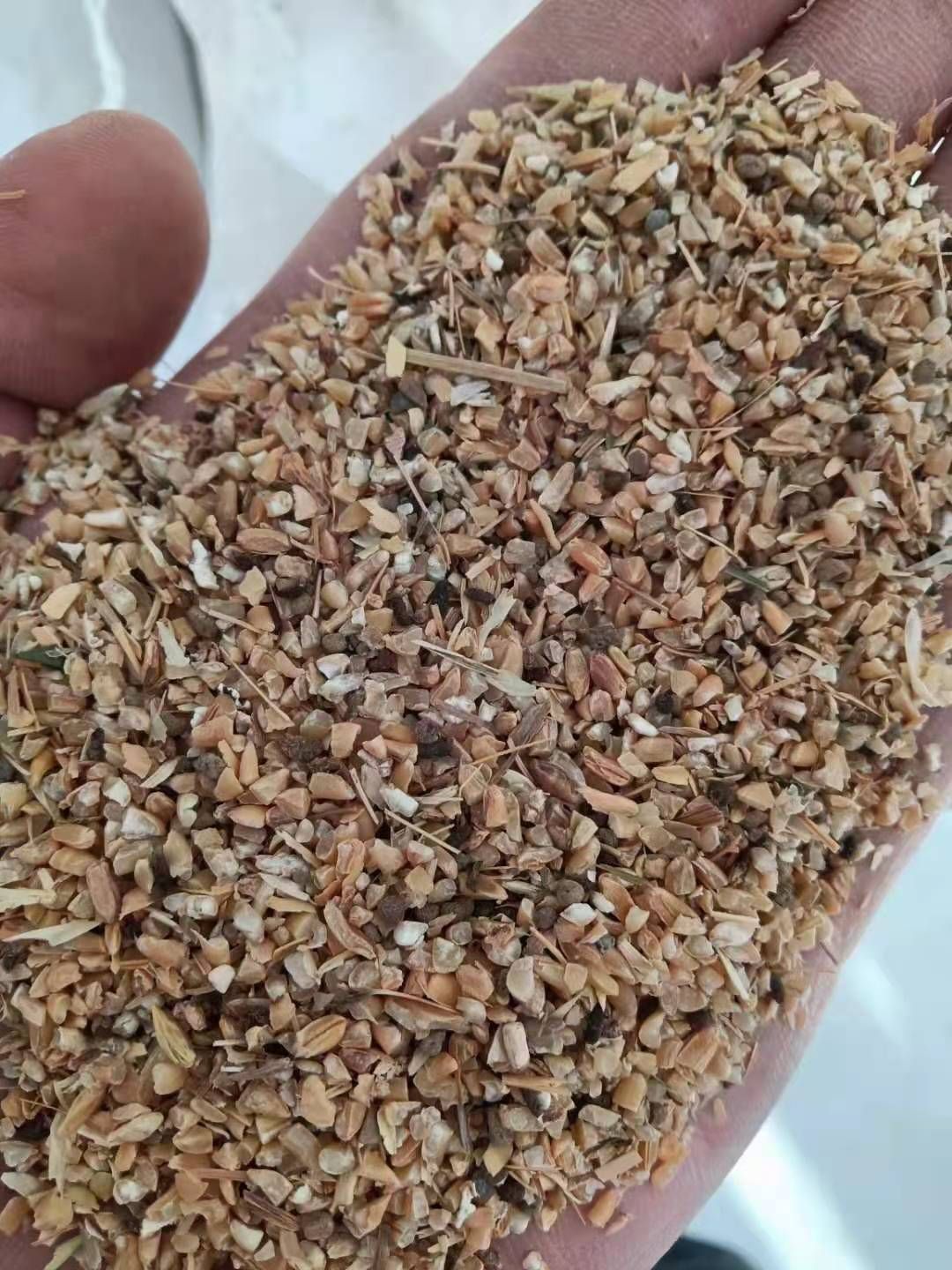 碎麦  常年供应碎小麦，碎玉米，价格便宜，养殖业