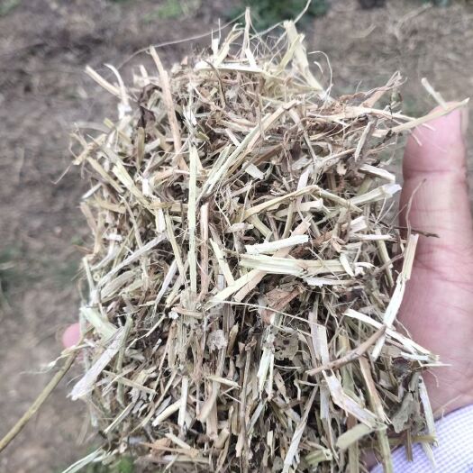 正阳县花生秧草段  花生秧草粉  纯花生秧颗粒 花生秧颗粒全价料质