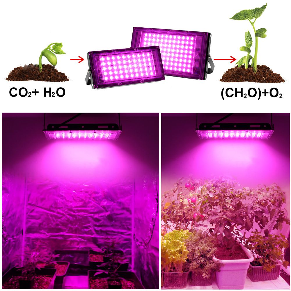 植物补光灯  50W/100W全光谱植物生长灯全光谱育苗补光灯植物灯