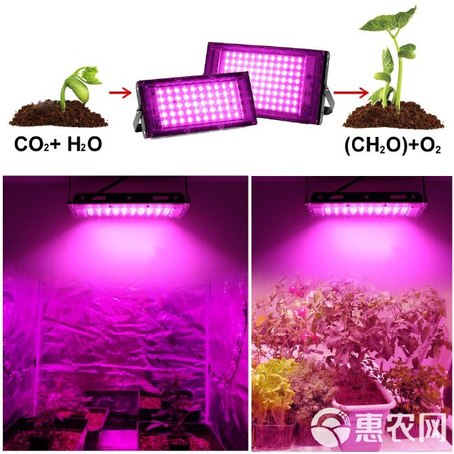 植物补光灯  50W/100W全光谱植物生长灯全光谱育苗补光灯植物灯