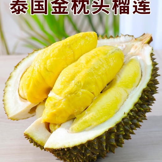 昆明金枕榴莲 泰国榴莲，金枕头