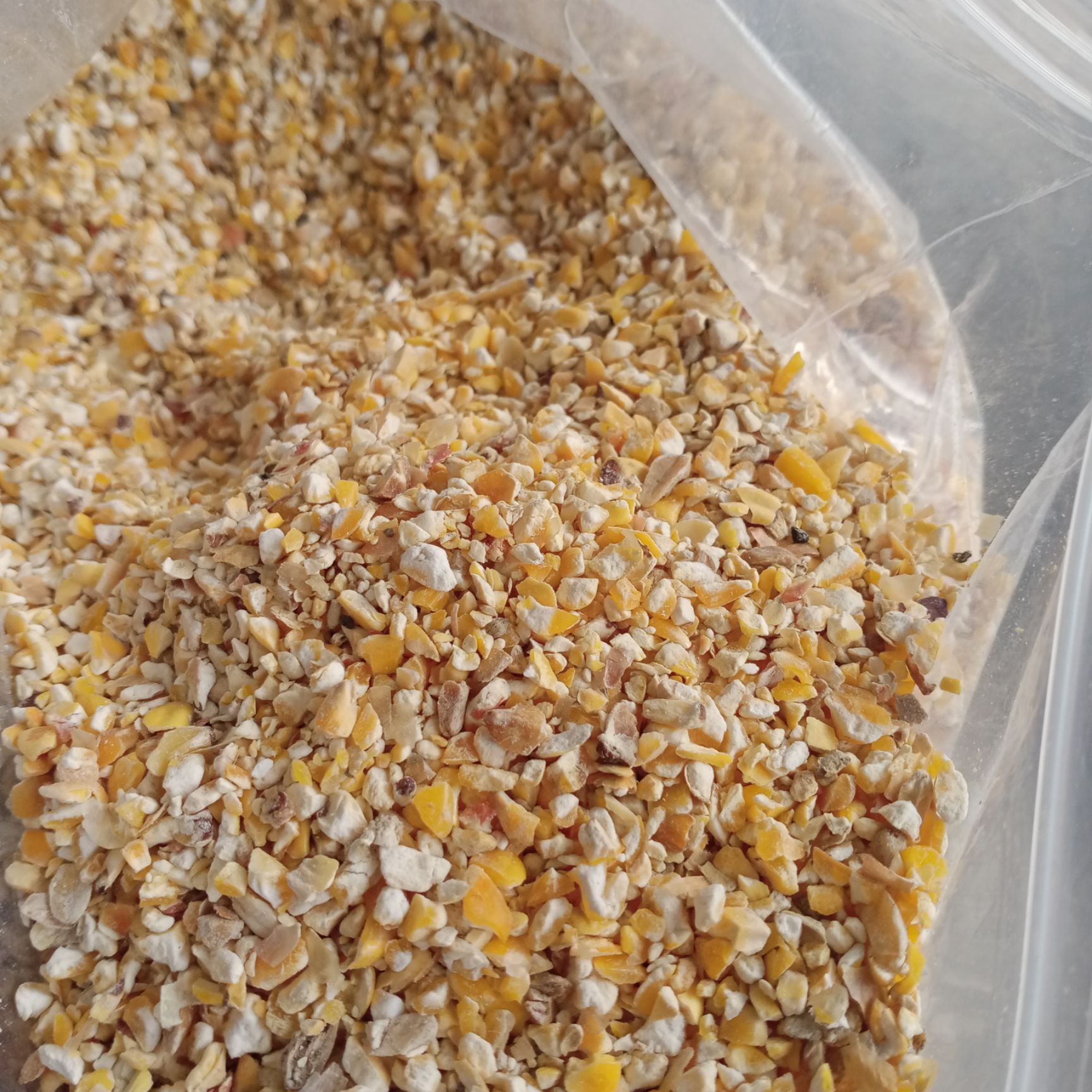 干玉米  广东玉米漏，玉米碎，碎玉米，养殖饲料，饲料原料，玉