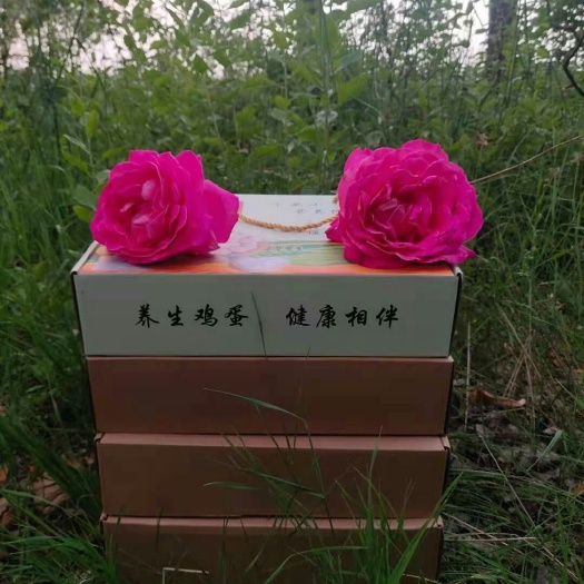 开封芦丁蛋  芦丁鸡营养鸡蛋精品礼盒装