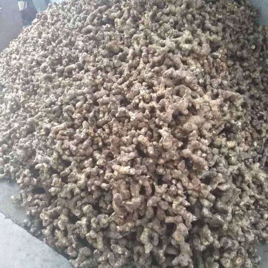 玉林南姜
