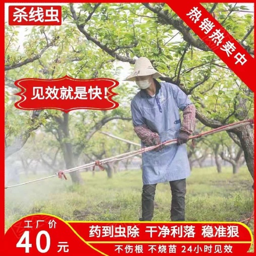 新郑市铁肥  厂家直销铁线散 微生物菌剂 线虫克星 线虫药 线虫净