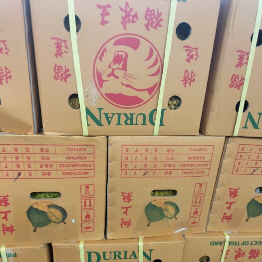 广州金枕榴莲 泰国金枕A果5-6头，B果5-7头，巴掌10-12头