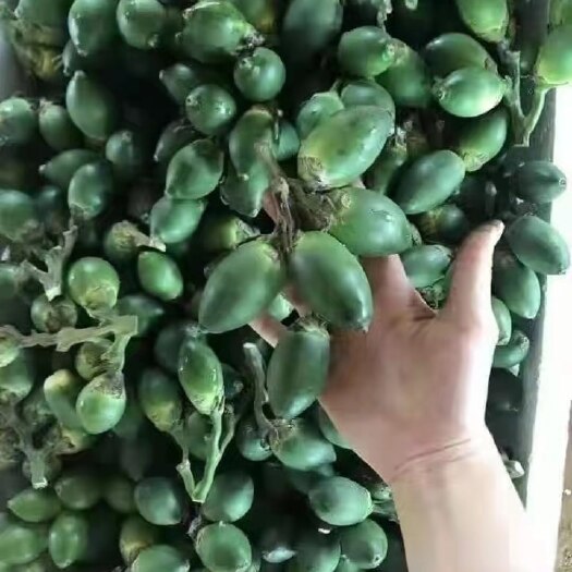 宁明县蜜饯果脯 槟榔发货地是广西