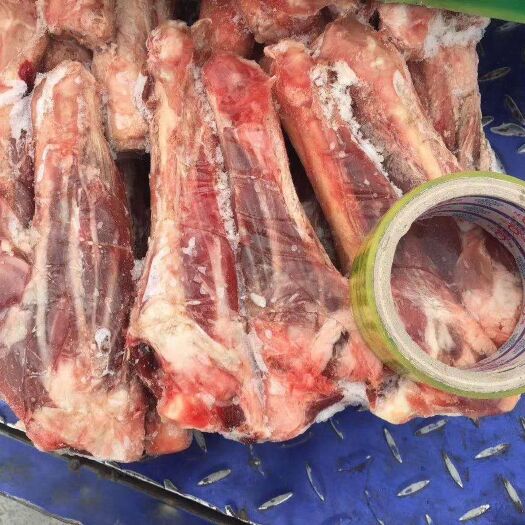 郑州羊腿肉  羔羊前腱子