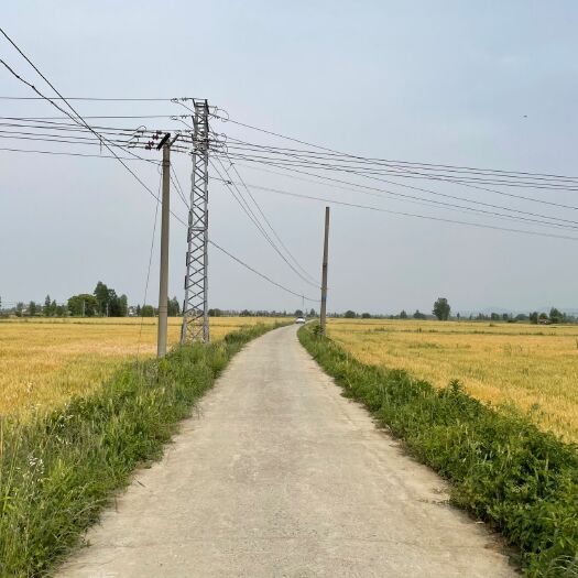 南京旱地 村集体土地供应