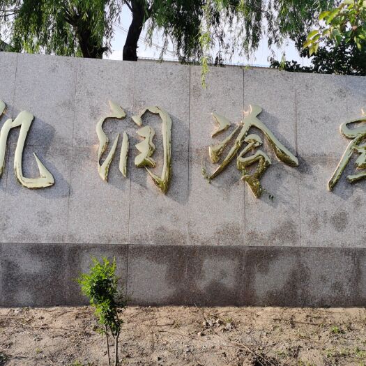 安丘市冷库租赁  代收代存（大姜，土豆，洋葱）诚信经营实力配资