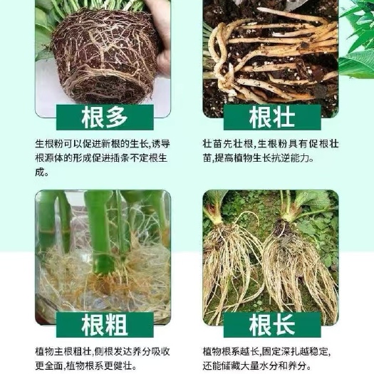 邯郸水溶肥  生根粉