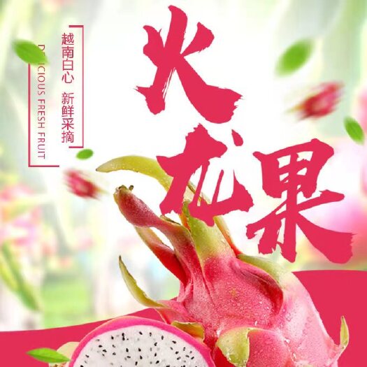 凭祥市国外白心火龙果  白心火龙果（大批量供应）