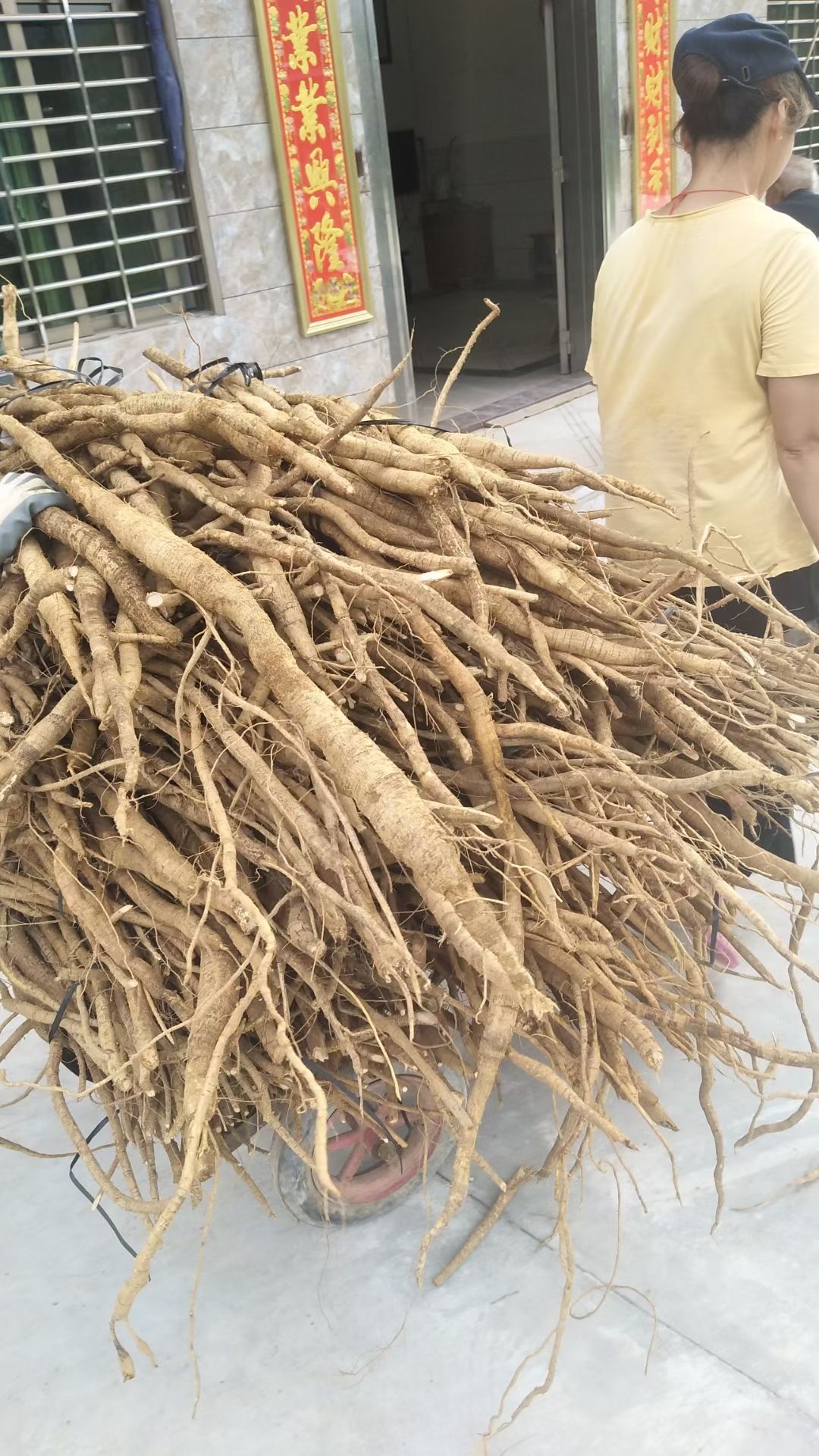  干货牛大力，各种规格