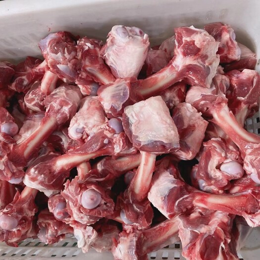 河间市羊骨 羔羊加肉.棒骨，骨头小肉含量高