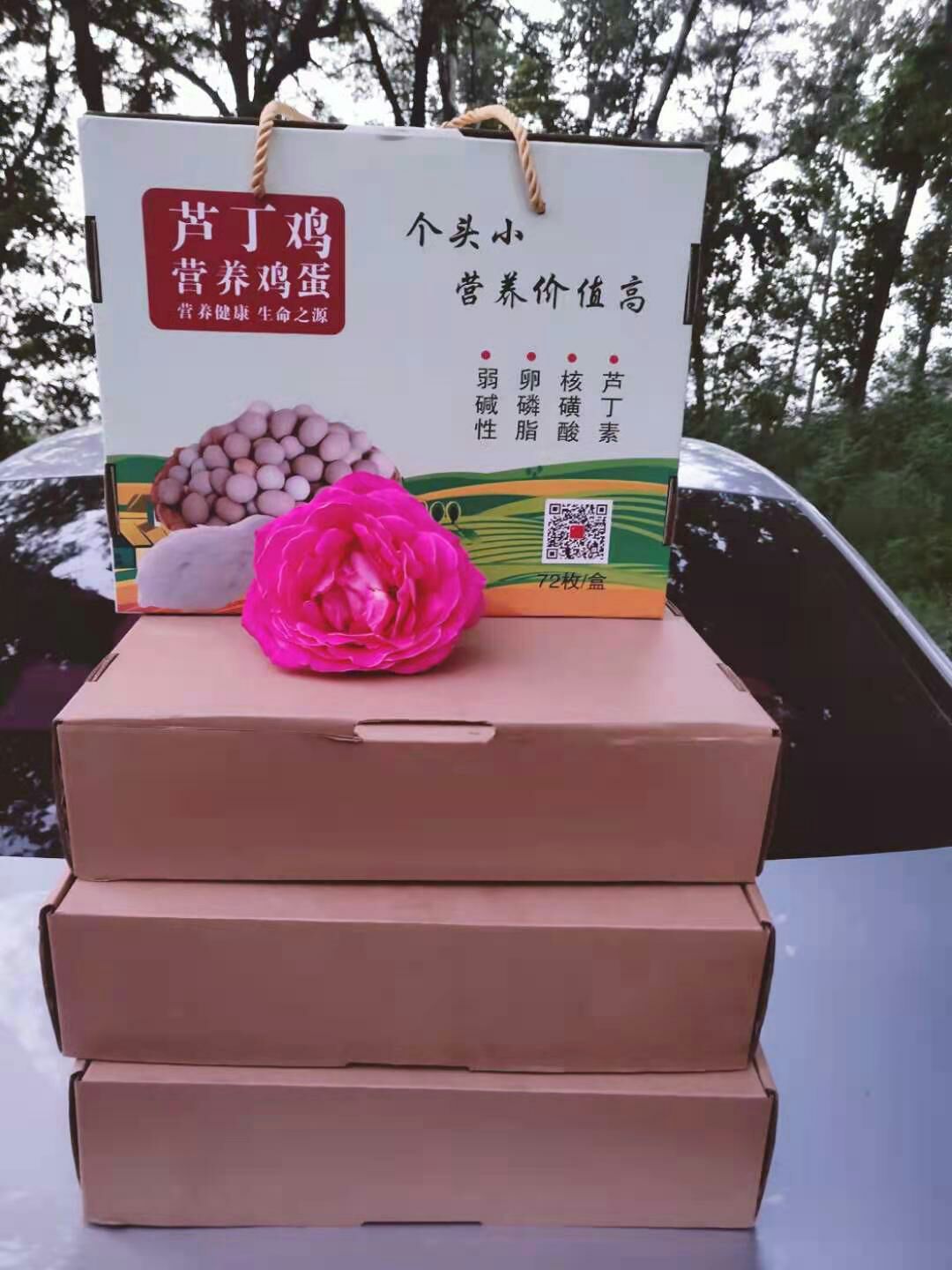 礼盒  芦丁鸡桂花雀专用纸箱包装盒精品