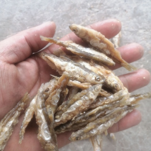 屯昌县 小白肖鱼干开肚油炸裹粉！无开肚裹粉！