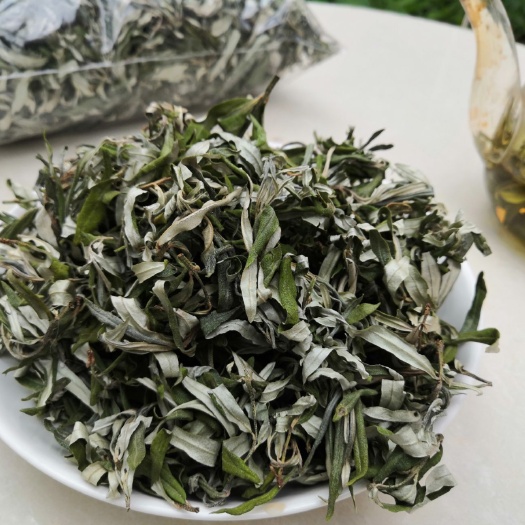 漳县沙棘叶甘肃高原老品种小果沙棘树沙棘叶产地直销包邮到家
