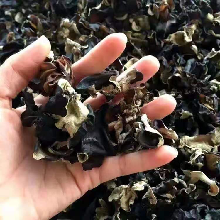 干黑木耳干货散装无根无筋干木耳散装批发 物美价廉