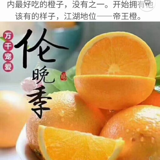 秭归县脐橙  橙子  秭归伦晚   产地现摘现发   汁多味甜