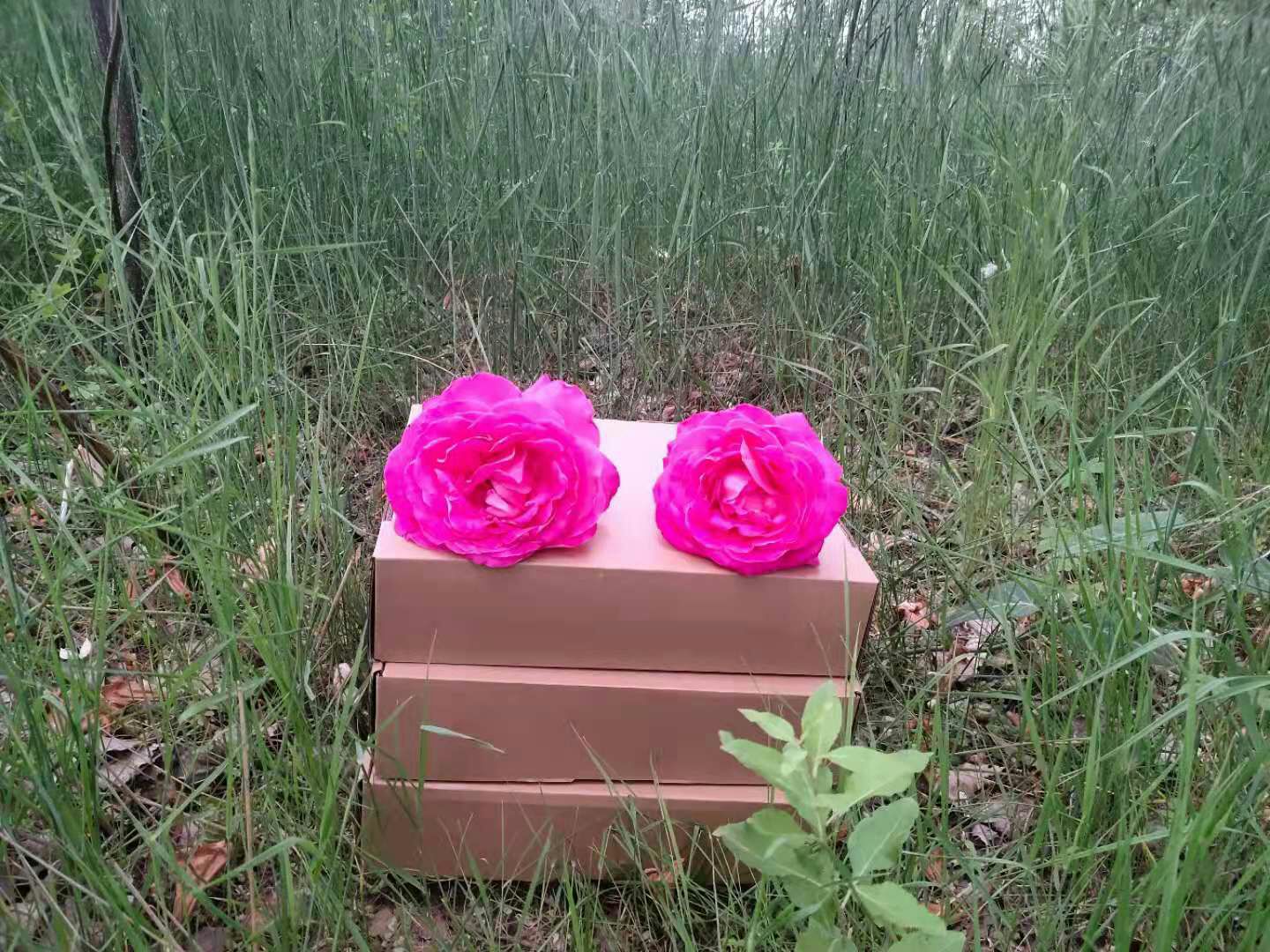 礼盒  芦丁鸡桂花雀专用纸箱包装盒精品