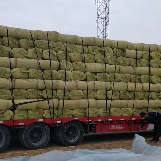 凤台县稻草，养牛粉碎3－5公分打包稻草
